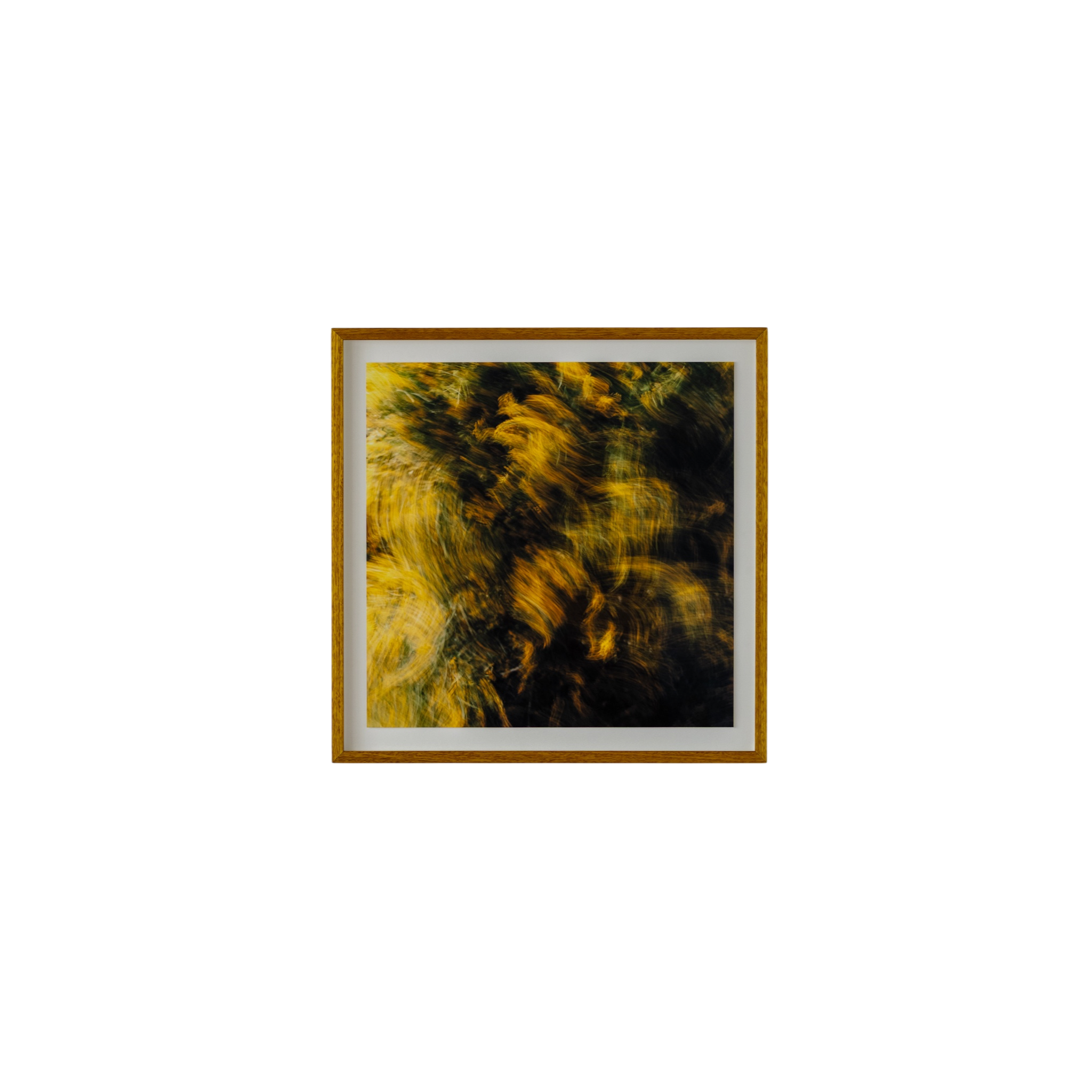 Adeline Pigment Print