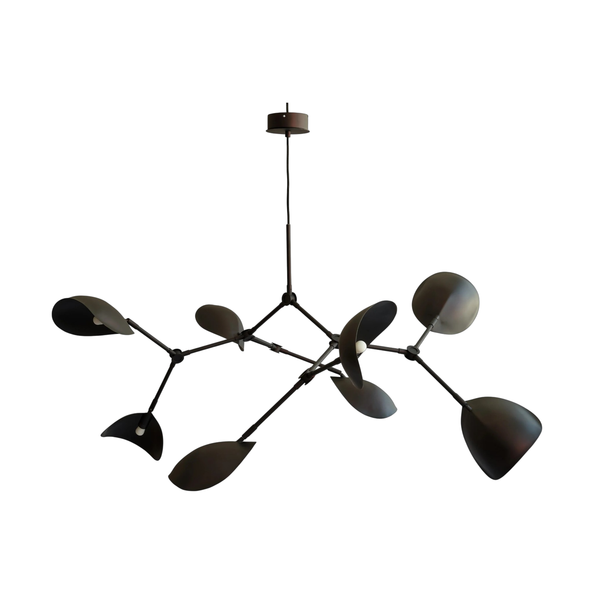 Stringray Chandelier