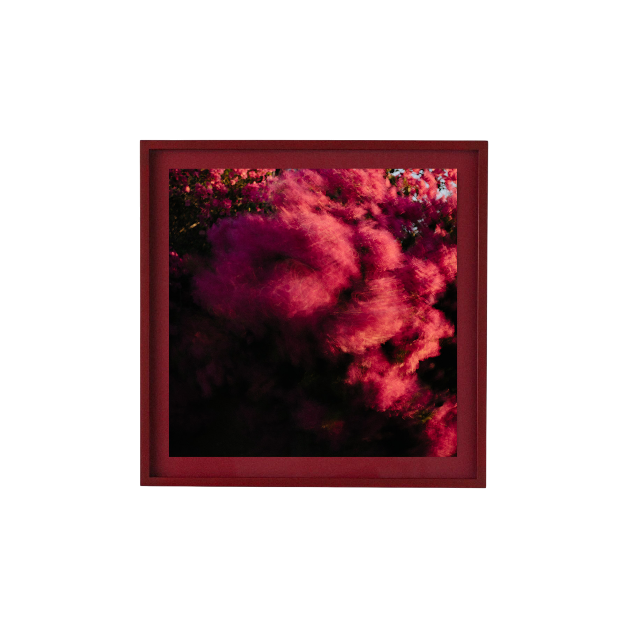 Esme Pigment Print