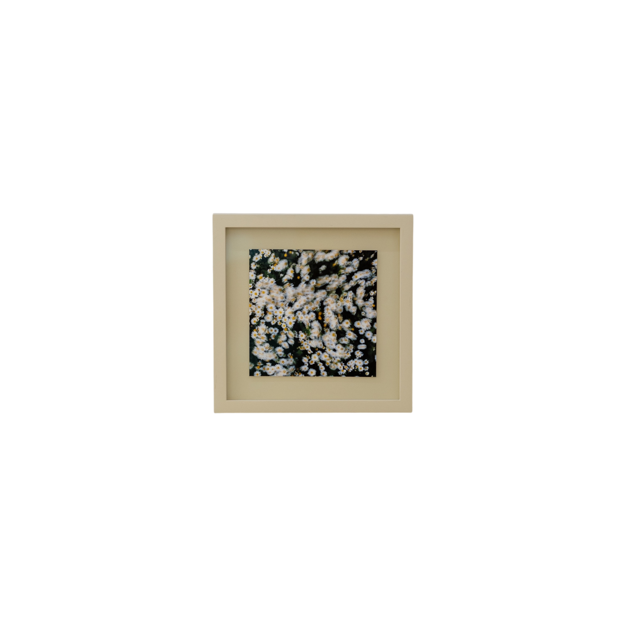 Mabel Pigment Print