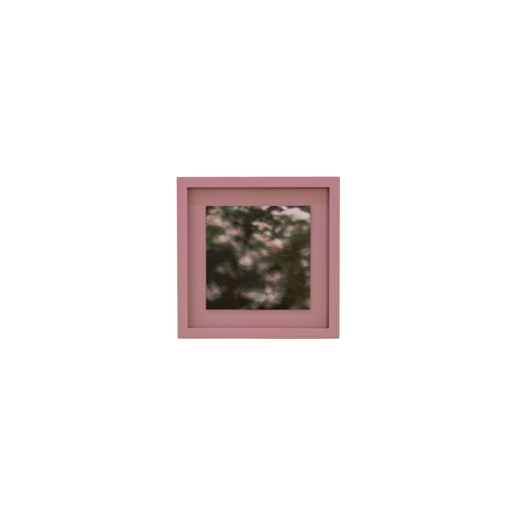 Vera Pigment Print