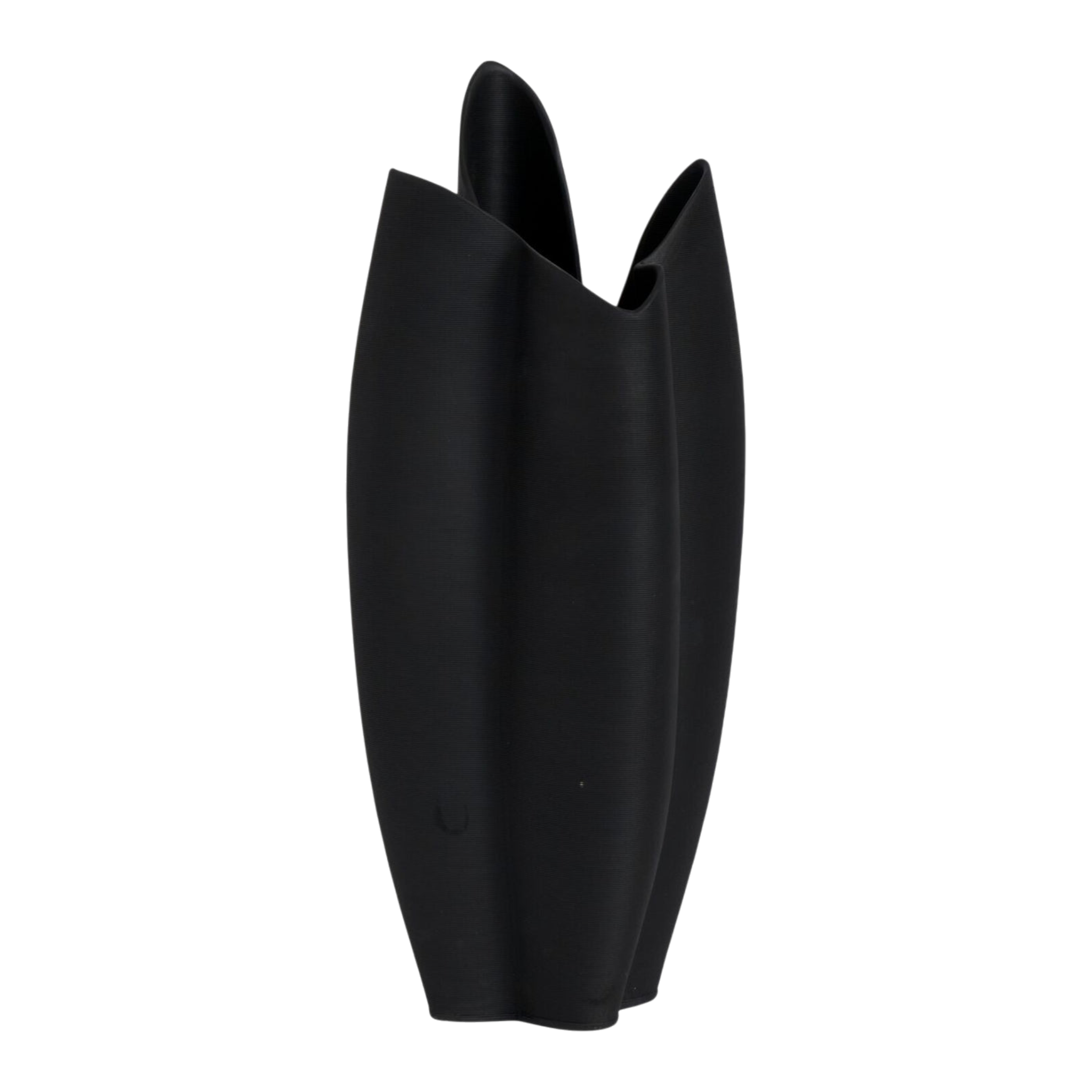 Tania Vase